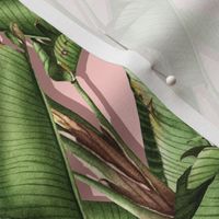 Strelitzia palm jungle/pink pop/small scale