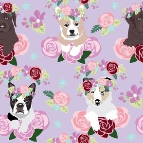 Dogs Frolic in the Flowers lavender background collie, corgi, boston terrier, labrador puppy 