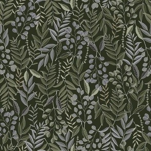 Eucalyptus leaves