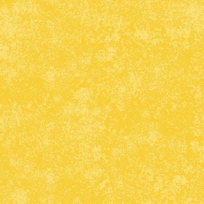 Textured Yellow Blender