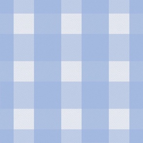 Baby Blue Gingham Large Print