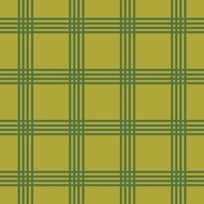 Green checks-nanditasingh