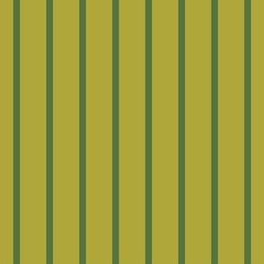 Green stripes 2-nanditasingh