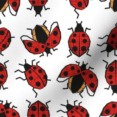 Normal scale // Geometric ladybugs // white background red and orange ladybird beetles insects