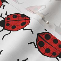 Normal scale // Geometric ladybugs // white background red and orange ladybird beetles insects