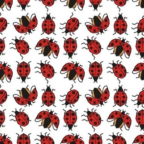 Small scale // Geometric ladybugs // white background red and orange ladybird beetles insects