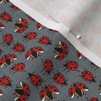 Tiny scale // Geometric ladybugs // green grey linen texture background red and orange ladybird beetles insects