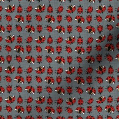 Tiny scale // Geometric ladybugs // green grey linen texture background red and orange ladybird beetles insects