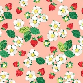 Strawberries 4
