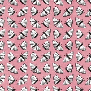 Tiny scale // Geometric white monarch butterflies // pastel pink textured background fuchsia white insects