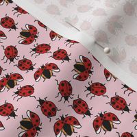 Tiny scale // Geometric ladybugs // pastel pink background neon red and orange ladybird beetles insects