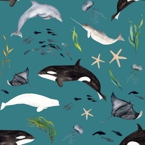 Marine World Ocean Animals
