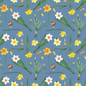 Spring Daffodil Blue