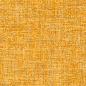 Solid Orange Plain Orange Natural Texture Celebrate Color Marigold Orange Yellow EF9F04 Bold Modern Abstract Geometric