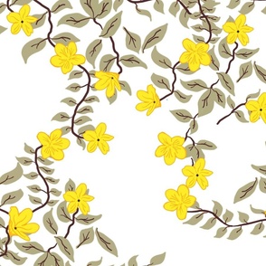 Yellow Jasmine  on White - large