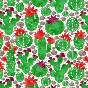 Cacti in Bloom - Petal Coordinates in Bloom