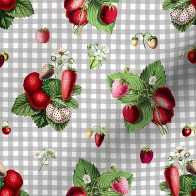 Strawberries on grey gingham