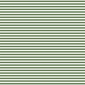 Dark green stripes-nanditasingh