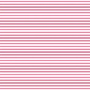 Pink White stripes-nanditasingh