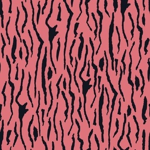 Zebra Print - Black and Pink