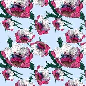 Dreaming of Peonies - Fuscia Pink on Sky Blue