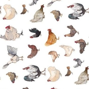 Chicken Happy //HORIZONTAL for borders, watercolor chickens for kids or kitchens, dining rooms