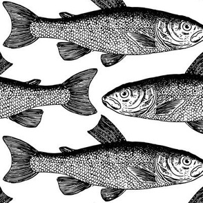 vintage fish pattern