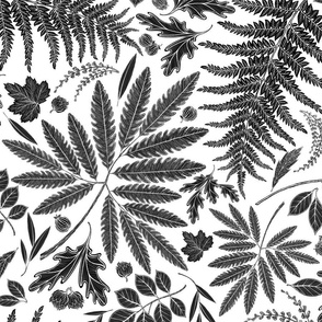Ferns, Foliage and Bramble Black and White