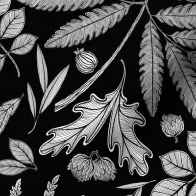 Ferns, Foliage and Bramble Black