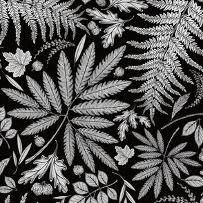 Ferns, Foliage and Bramble Black