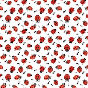 Ladybug Frenzy (White)