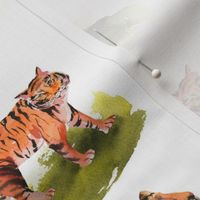 Watercolor tiger on white