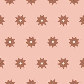 Star Dots  Terracotta on Pink | Sm.