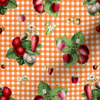 Strawberries on orange gingham