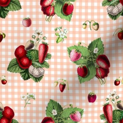 Strawberries on peach gingham