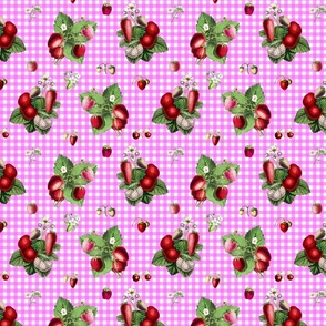 Strawberries on pink gingham