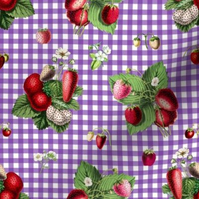 Strawberries on purple gingham