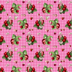 Strawberries on raspberry gingham