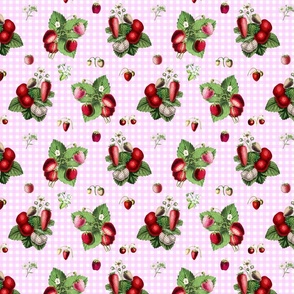 Strawberries on rose gingham