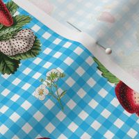 Strawberries on sky blue gingham