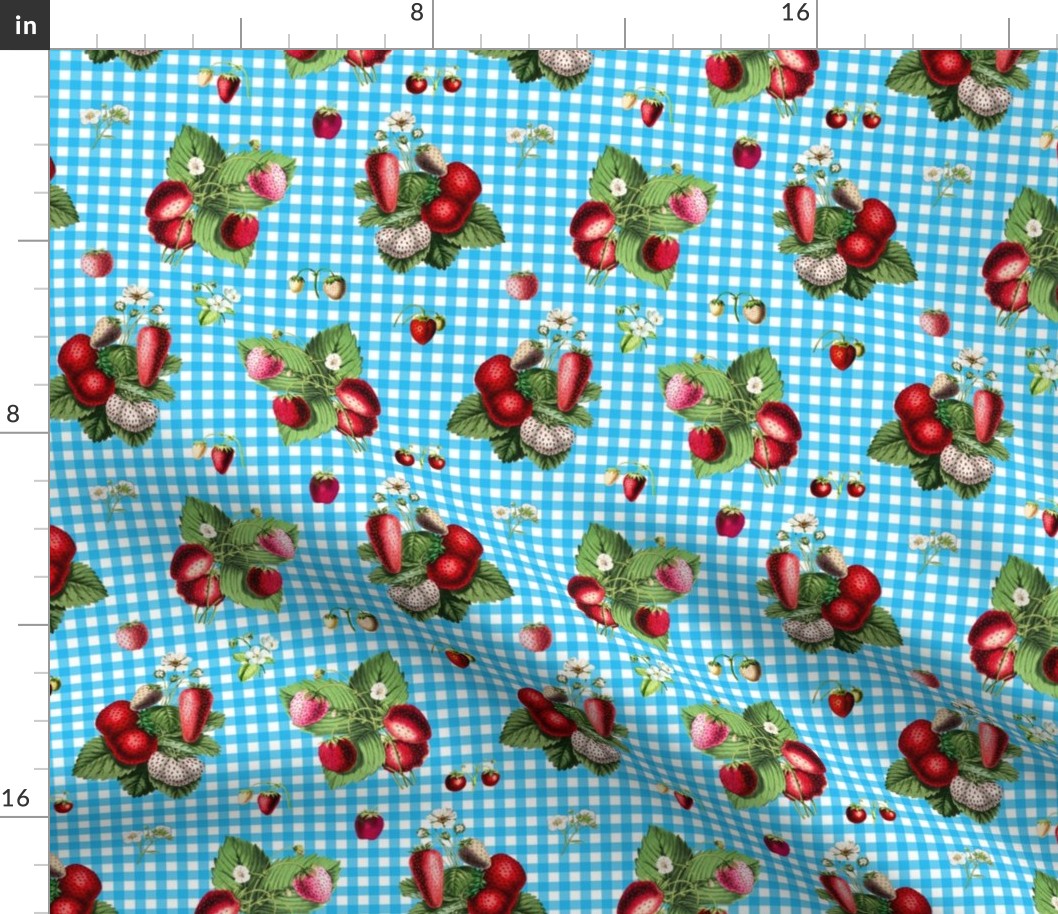 Strawberries on sky blue gingham