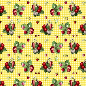 Strawberries on sun yellow gingham