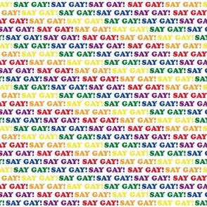 Say Gay! Rainbow bricks