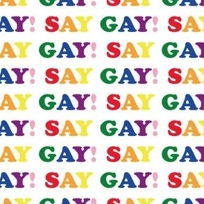 Say Gay! - Rainbow words