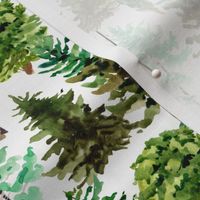 watercolor forest