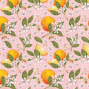 Ojai Oranges-Pink Moment-M
