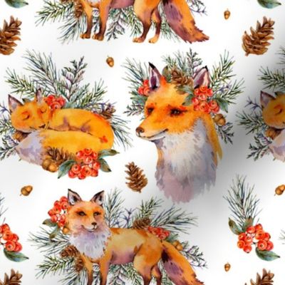 Watercolor cute fox