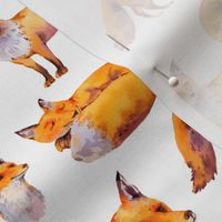 Cute watercolor fox