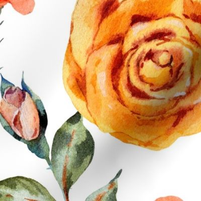 Watercolor roses