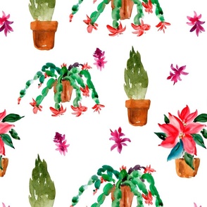 Watercolor Houseplants. Christmas Cactus, Thanksgiving Cactus, Poinsettia